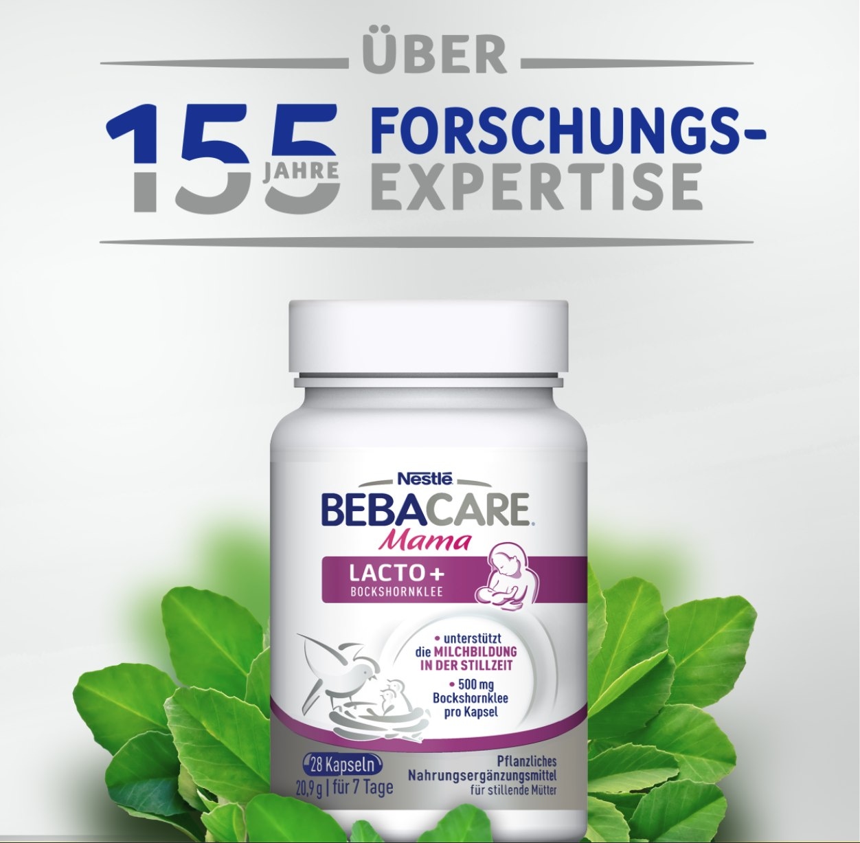 Bockshornklee steigert die Milchproduktion - BEBACARE Lacto+​